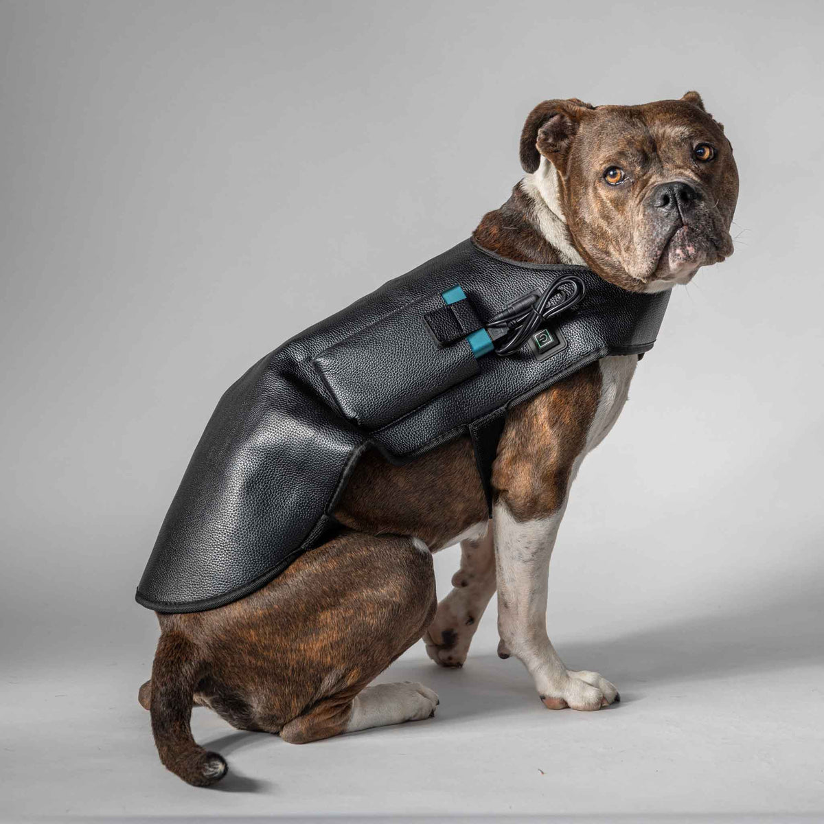 Rødlysterapi Wrap Hund – Stor (264 LED)