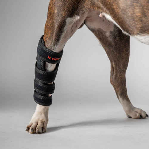 Dog therapy wrap