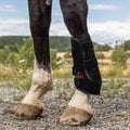 Rødlysterapi Beinbelegg – Hest