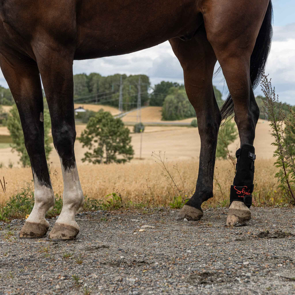 Rødlysterapi Beinbelegg Universal – Hest