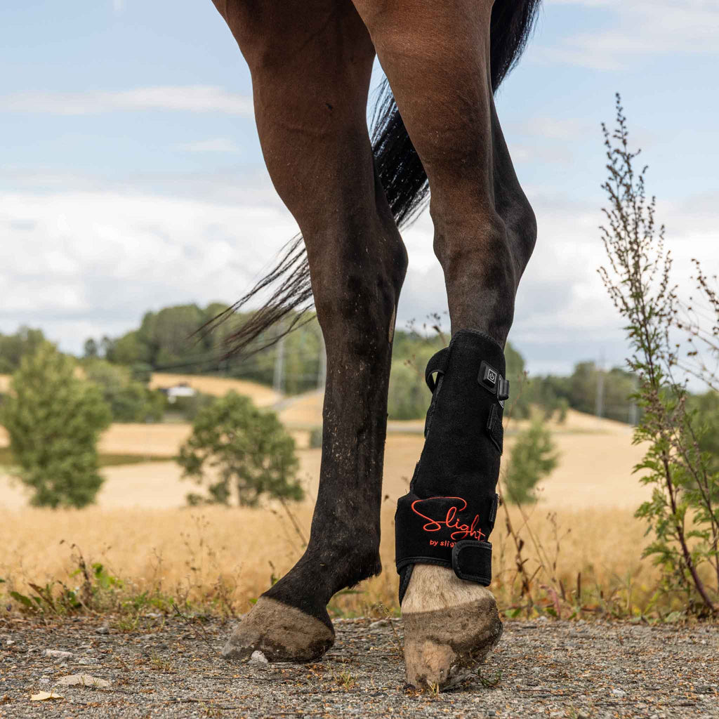 Rødlysterapi Beinbelegg Universal – Hest