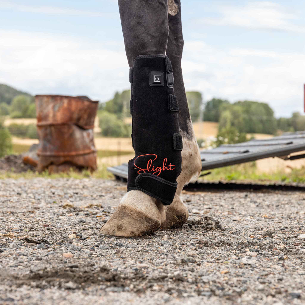 Rødlysterapi Beinbelegg Universal – Hest