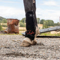Rødlysterapi Beinbelegg Universal – Hest