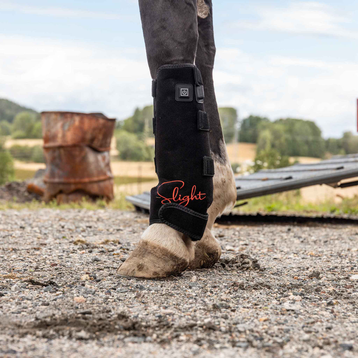 Rødlysterapi Beinbelegg Universal – Hest